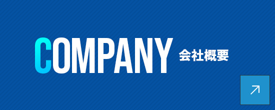 bnrhalf_company_off
